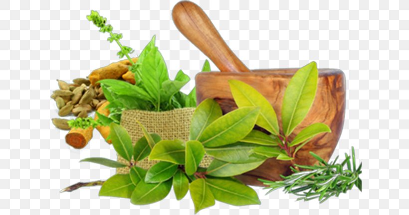 ADVANCED DIPLOMA IN AYURVEDIC HERBAL PREPARATIONS